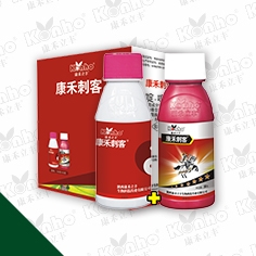 康禾刺客