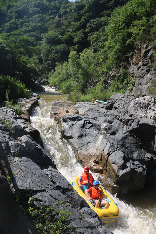 1539397255154883.jpg 8.jpg